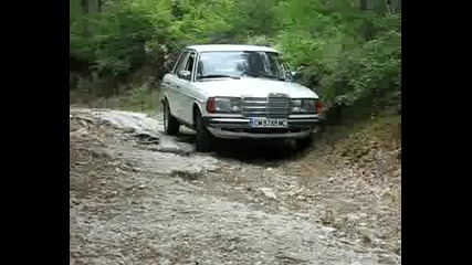 W123 2