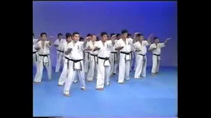 Kyokushin Karate Encyclopedia (iko1 - Matsui 8 Dan ) - 9