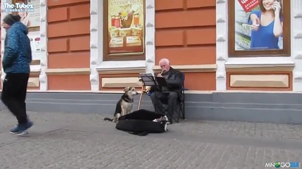 Уличен музикант получи неочаквана помощ