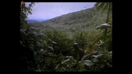 Горили в мъглата (gorillas in the Mist The Story of Dian Fossey)