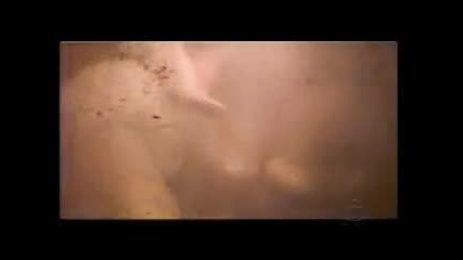 inside the world trade center while collapse