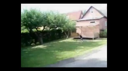 Free Running and Parkour 