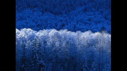 Untitled_0001