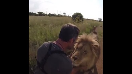 Истинско приятелство между човек и лъв