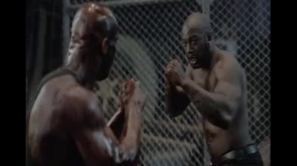 Damage - Stone Cold Steve Austin Never Backs Down
