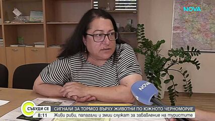 Животни като атракция по Черноморието: институциите проверяват сигнали за жестокост