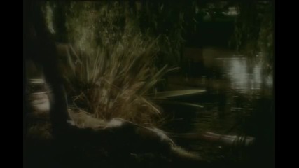 Nick Cave & Kylie Minoque - Where The Wild Roses Grow
