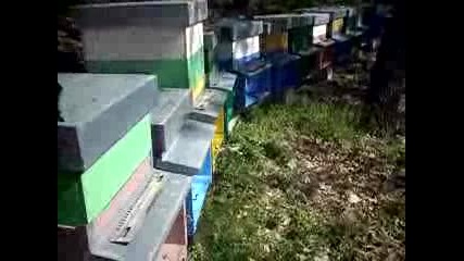 Модерна пчеларска ферма в Италия