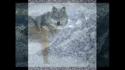 Enya - Amid The Falling Snow