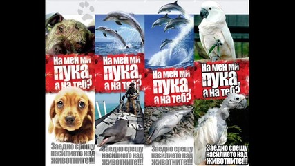 Заедно срещу насилието над животните!!!