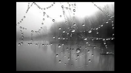 Noubliez Jamais - Joe Cocker