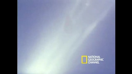 High-velocity Falcon