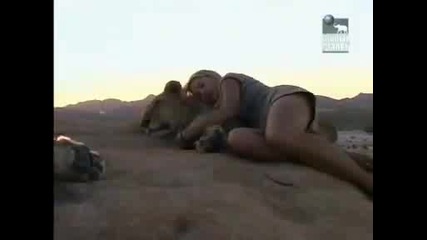 Жена сред лъвове , истинско приятелство!