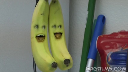 Annoying Orange - Annoying Orange Wazzup
