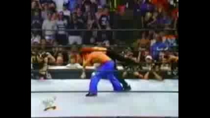 Die Diven Der Wwe