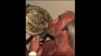All Wwe Champions 