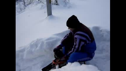 Дибелия Кара Снегокат