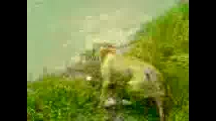 Mov00020.3gp