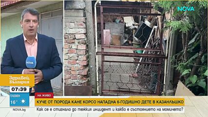 Какво е състоянието на момичето, нападнато от Кане Корсо