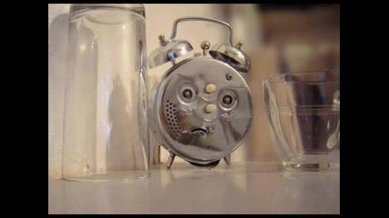 Funny Pictures Compilation