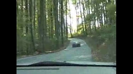 Corvette - Arbre