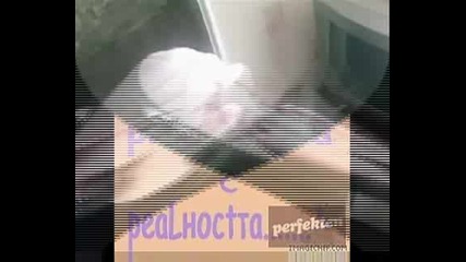 Животът Е Лъжа