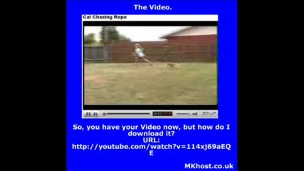 Как Да Сваляме От Youtube.com