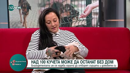 Жената, продала къщата си, за да помага на бездомни животни: Те имат нужда да намерят своя  дом