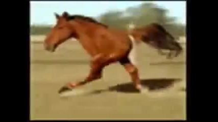 Retarded running horse 