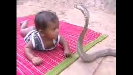 Frank Zappa - Baby Snakes 