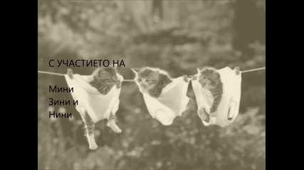 Котета в памперс