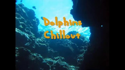 Dolphins Chillout - (music for babies-pregnancy)