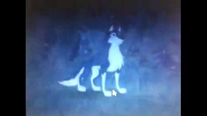 Balto 2 Wolf quest-who you really are Bg audio