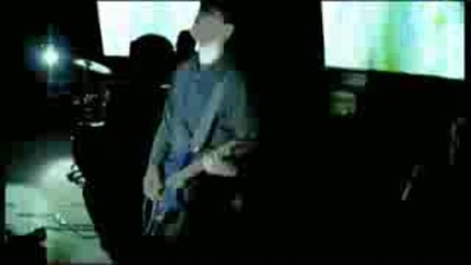 Agonised By Love - Southern Sun