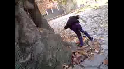 freerun and parkour