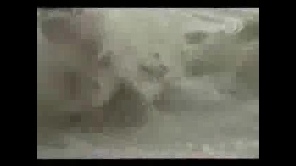 Crazy Beach accidents 