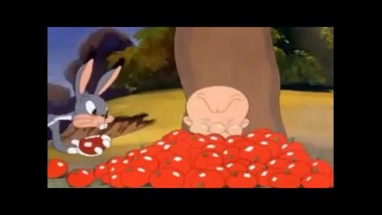 Bugs Bunny & Elmer Fudd - " Elmer's Candid Camera "