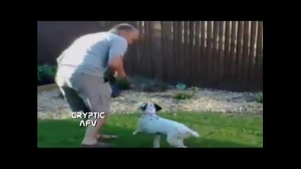 Смешни и Забавни