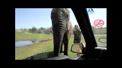 Еее това се казва слон , помощник автомонтьор! 