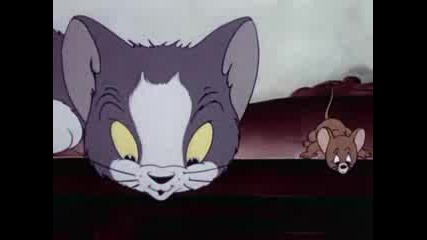 Tom And Jerry 