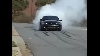 Понички На Supercharged Mustang Cobra