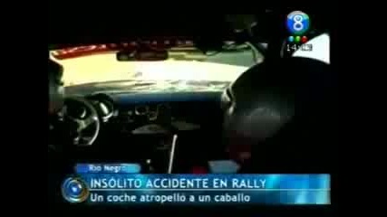 Кола Удря Кон на Рали в Аржентина