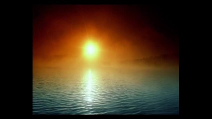 deep forest - night bird