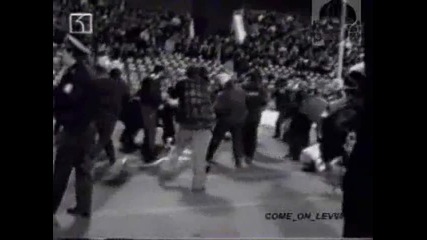 Levski hooligans 