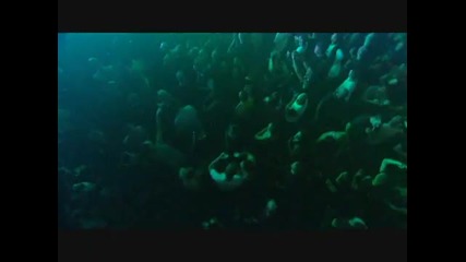 Project Hardcore Nl 2008 Dvd parte 4 - Evil Activities 
