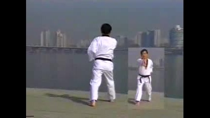 Wtf Taekwondo - Taegeuk Il Jang (1 Poomse)