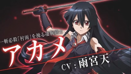 Akame Ga Kill Ending 1