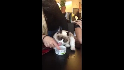 Не стига, че сърдит ами и мързелив!