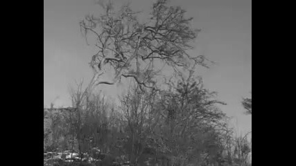Gregorians - Wind Of Change