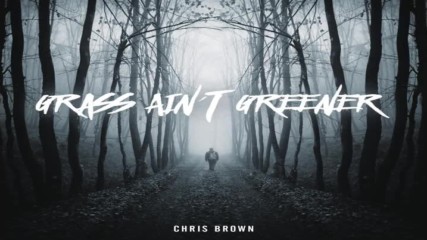 Chris Brown - Grass Ain't Greener